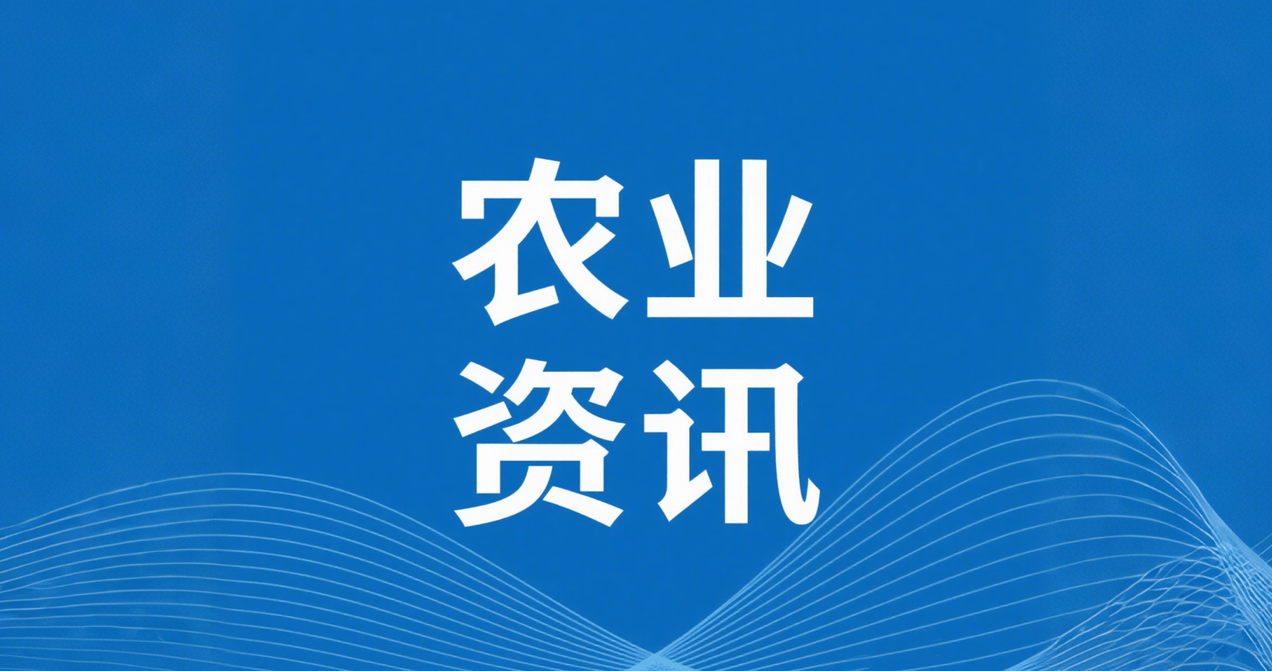 漁業(yè)“三品一標(biāo)”提升行動實(shí)施方案（2022—2025年）全面啟動
